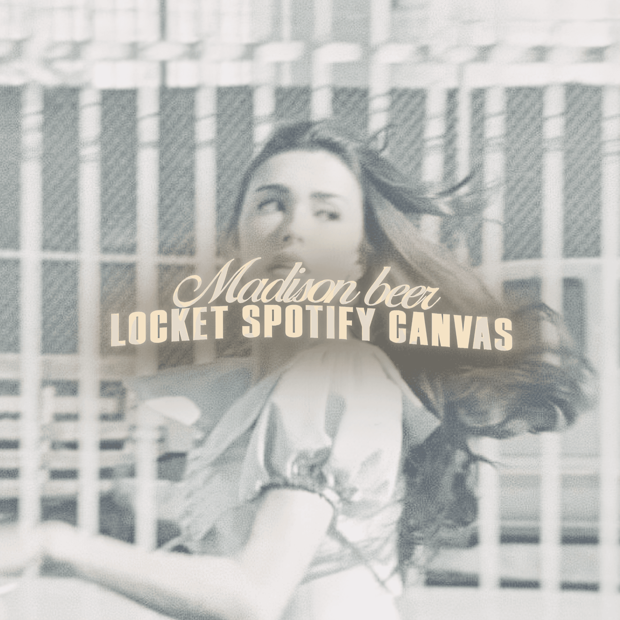 Locket Spotify Canvas